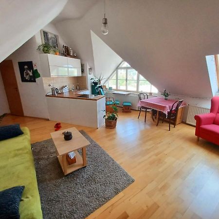 Artist Apartment 班斯卡-比斯特里察 外观 照片